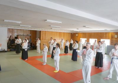 practice of non-violent Aikido