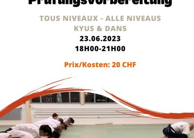 Kyus/Dans preparation seminar, Biel, 23.06.2023