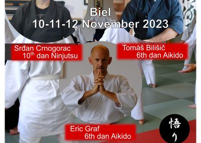 Big Autumn Seminar, 10-12 November, Biel