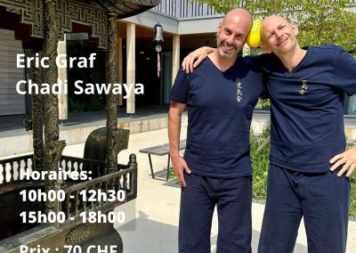 Japanese Yoga Seminar, 23 November, Geneva