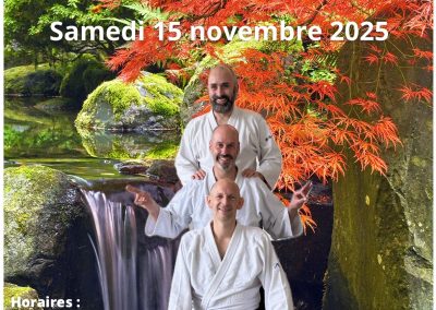 Aikido Seminar in Geneva, 15 November